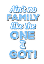 Load image into Gallery viewer, JOHNSON &amp; BROWN FAMILY REUNION T SHIRT
